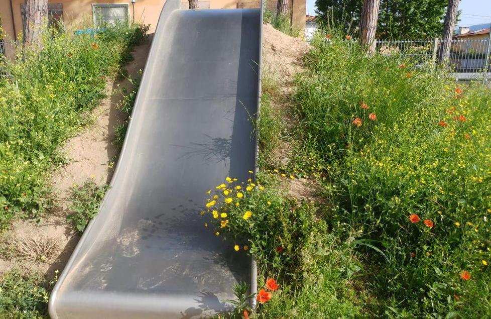 Erba alta e sporcizia al parco