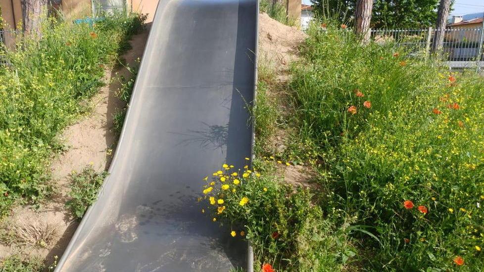 Erba alta e sporcizia al parco