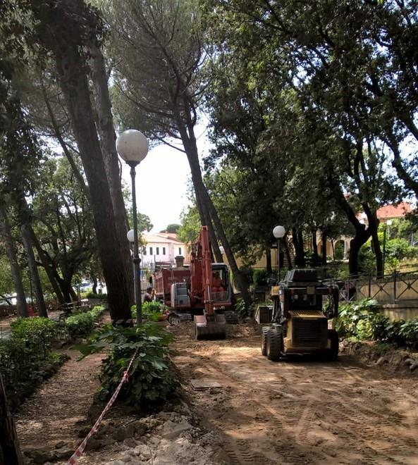 Le ruspe hanno tolto le mattonelle e le radici