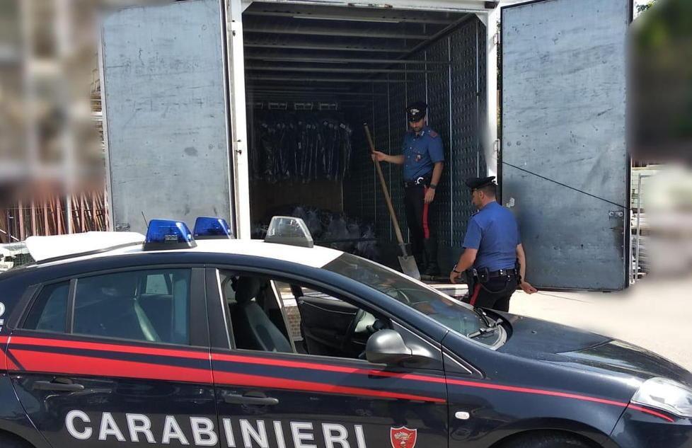 Razzie di attrezzi nei vivai tre arresti dei carabinieri 
