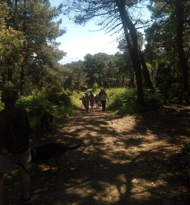 Passeggiando per l’Elba ritrovi forma fisica e anche il buonumore 