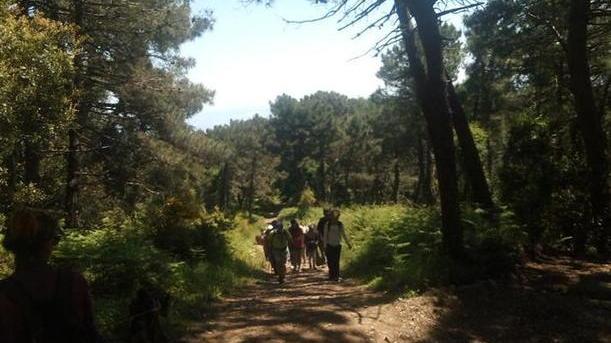 Passeggiando per l’Elba ritrovi forma fisica e anche il buonumore