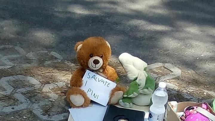 Trovato un altro nido “abitato” Stop al taglio degli alberi