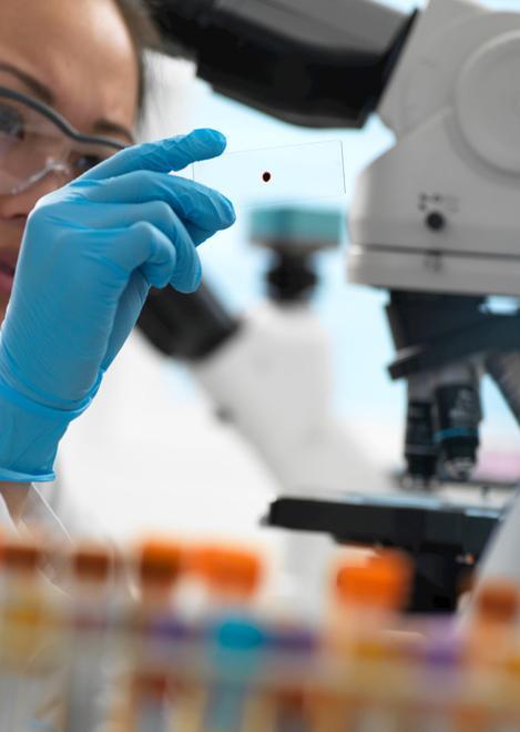 Mortalità, lo studio Sentieri conferma: «Nessun eccesso tra i piombinesi» 