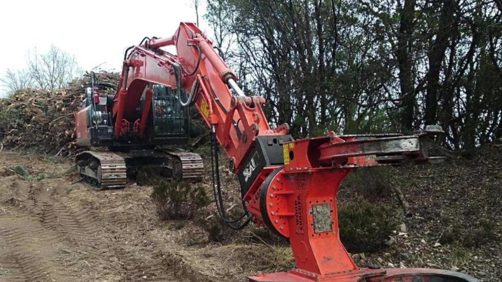 Taglio del bosco al Belagaio «Ormai era necessario»