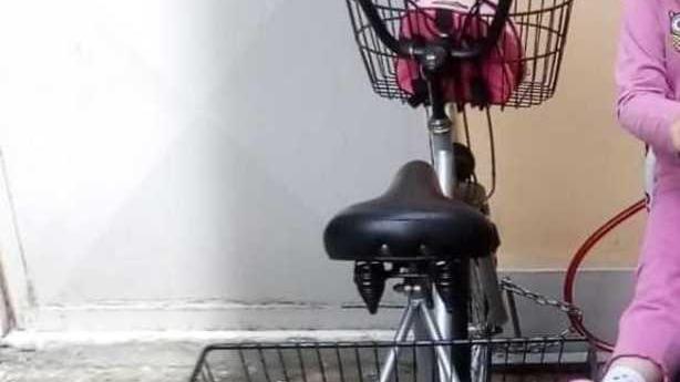 Colletta per ricomprare il triciclo rubato al disabile