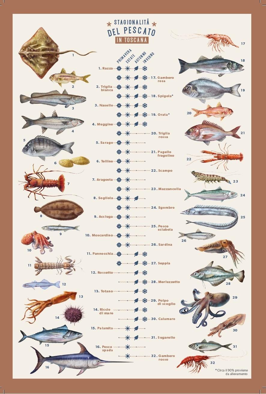 In regalo il "Calendario del pescato"