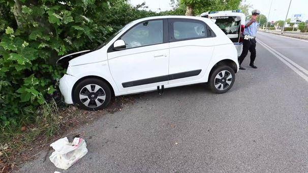 Auto contro platano, grave l'anziana conducente