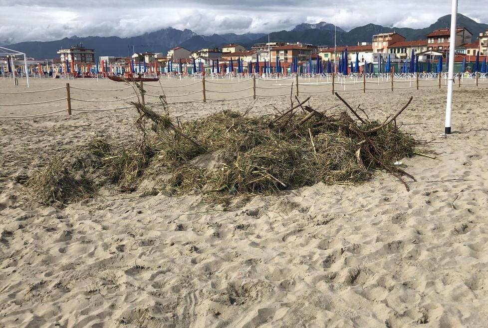 I balneari: sfalci in spiaggia, colpa del Consorzio 