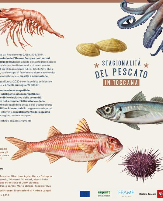 Calendario del pescato in regalo grazie alla Regione Toscana 