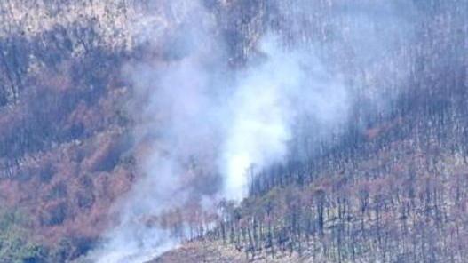 Nuovo rogo nell’area boschiva già bruciata quattro mesi fa