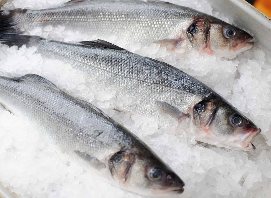 Pesce di mare con il Pd Insalate, sogliole cozze e grigliate