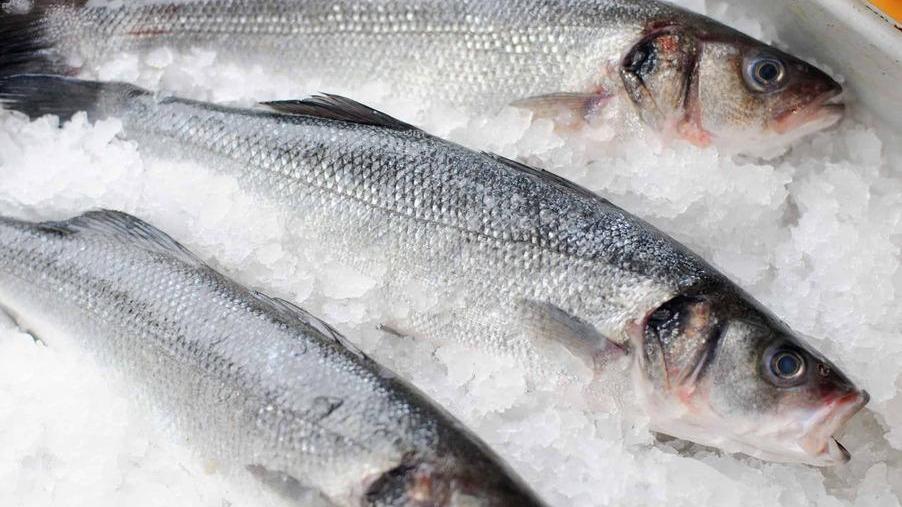 Pesce di mare con il Pd Insalate, sogliole cozze e grigliate