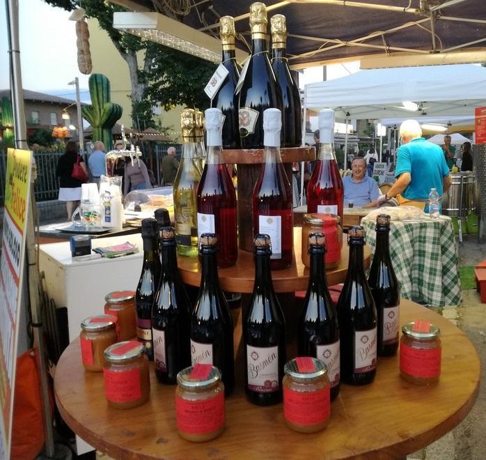 Vino e degustazioni, il lambrusco torna a invadere Albinea 