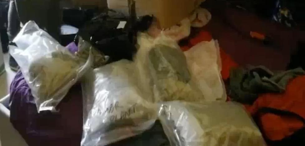 Marijuana a chili: il 23enne è già libero l’altro ai domiciliari 