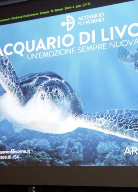 A lezione di cacciucco dallo chef 