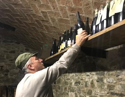 Roberto e il segreto dell’artigiano del vino “La cura della vigna” 