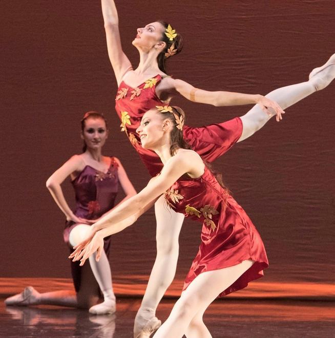 Il Nuovo balletto classico incanta il teatro Ariosto