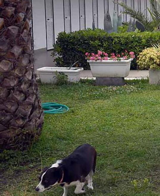 Qui ombrelloni aperti già nel periodo di Pasqua
