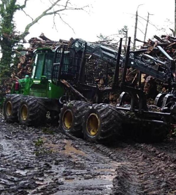 Riserva del Farma Italia Nostra a Giani «È un taglio totale e indiscriminato» 
