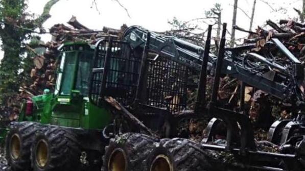 Riserva del Farma Italia Nostra a Giani «È un taglio totale e indiscriminato»