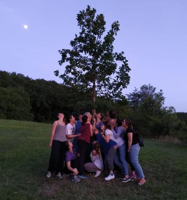 Ora a Roncolo c’è un albero di nome Federica 