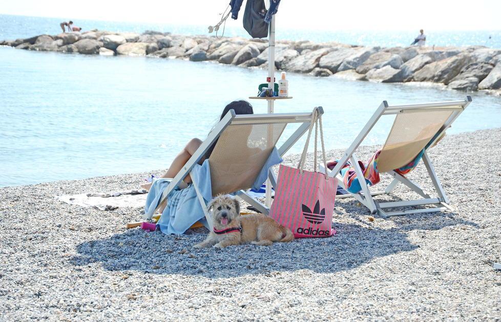 Nasce il gruppo contro la spiaggia dei cani alle Gorette: «Ci hanno rubato spazio»