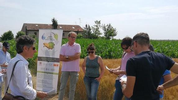 Nitrati sui campi Due aziende studiano l’agricoltura “eco”
