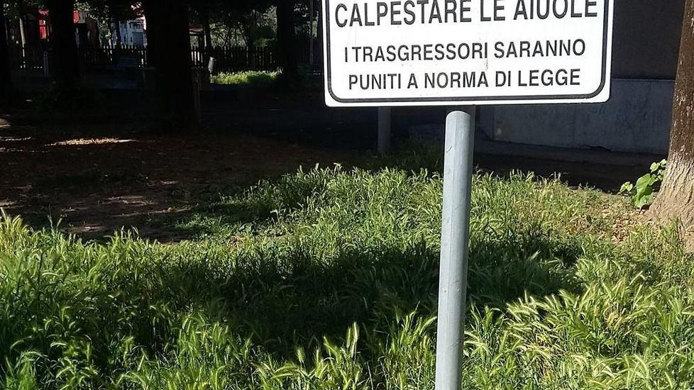 «Un bando per riassegnare la pulizia delle aiuole»