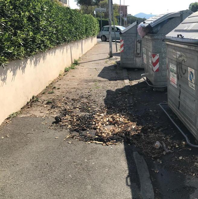 Per gli abbruciamenti nei boschi serve un’autorizzazione 