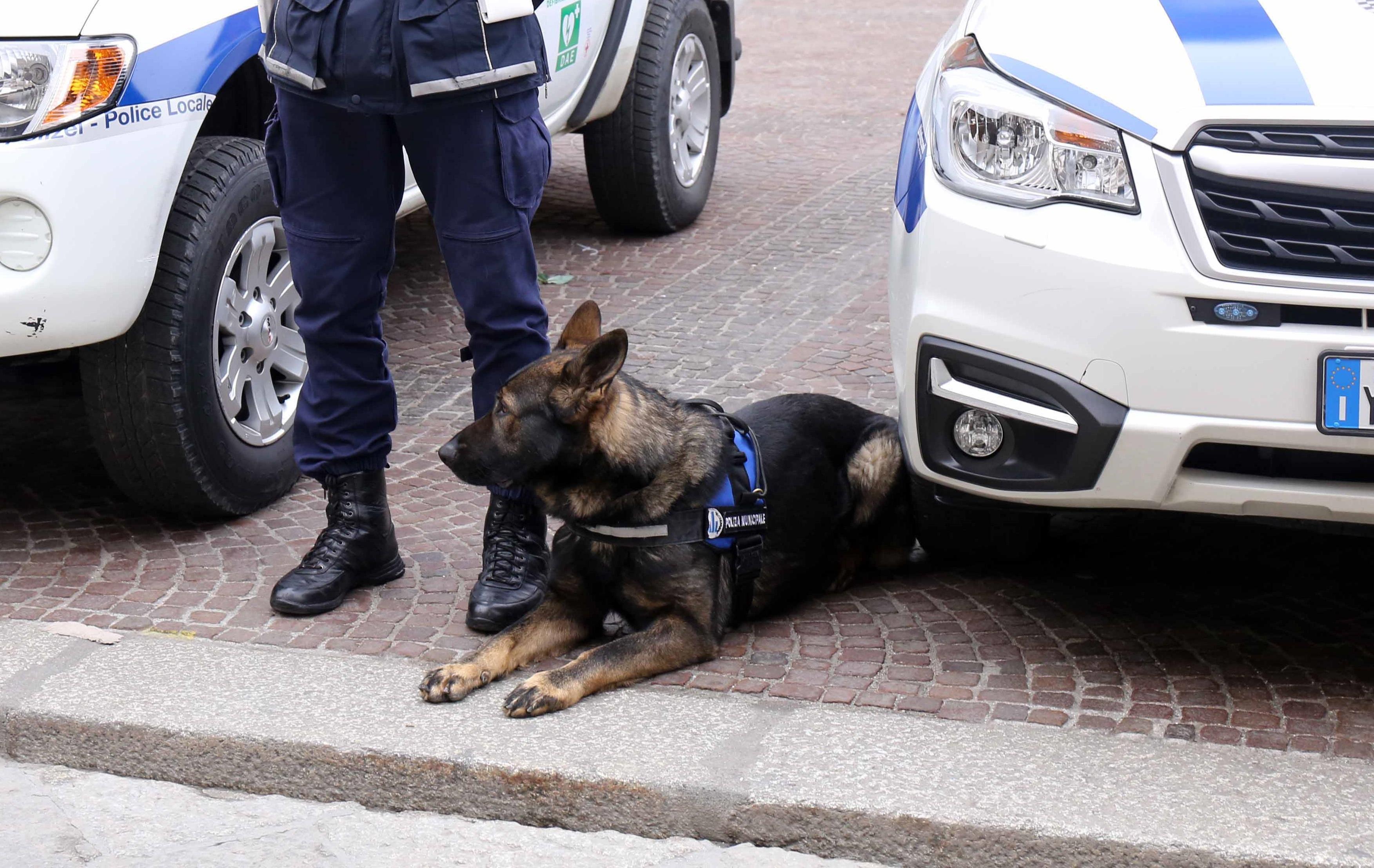 Reggio Emilia, evade dai domiciliari per spacciare durante il Mercoledì Rosa: arrestato un 41enne
