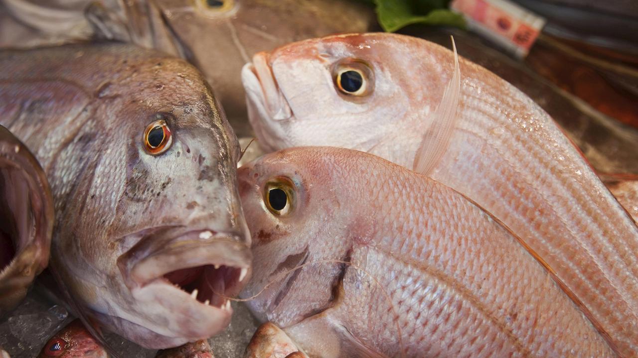 Prodotti d’allevamento e decongelati, denuncia a titolare di pescheria