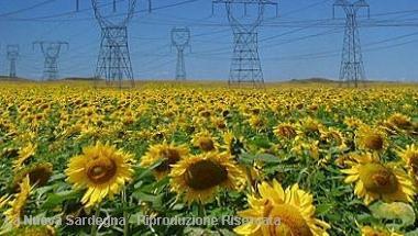 La chimica verde nasce da «Matrica»