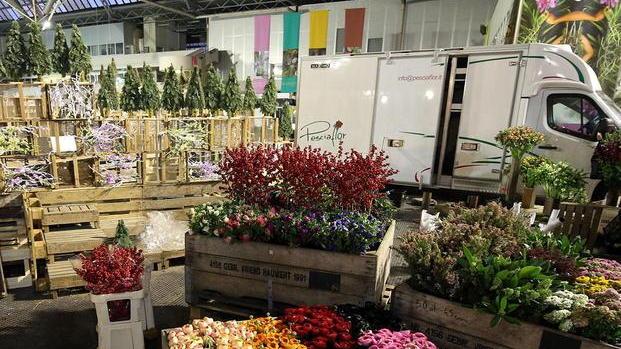 Marchetti: «Facciamo decollare il Distretto floricolo»