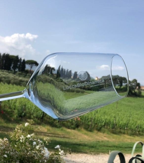 A Gragnano una kermesse di vino, olio e prodotti tipici 