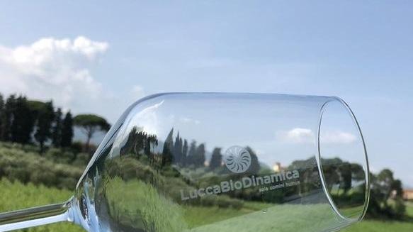 A Gragnano una kermesse di vino, olio e prodotti tipici
