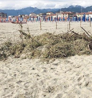 I balneari di Lido «Il Consorzio rimuova il verde» 