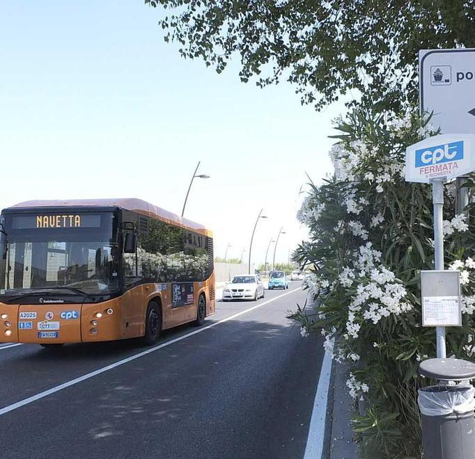 Navetta sul litorale Sarà gratuita solo ad agosto 