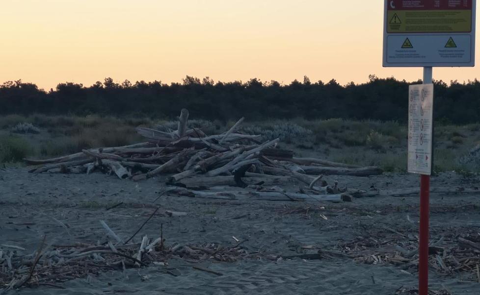 Blitz anti abusivismo I vigili rimuovono 30 baracche sulla spiaggia 