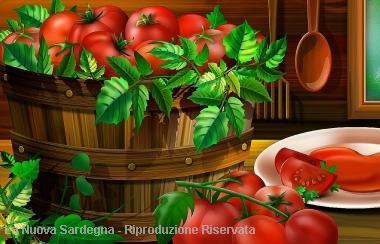 L'insuperabile olio prodotto dai fratelli Pinna