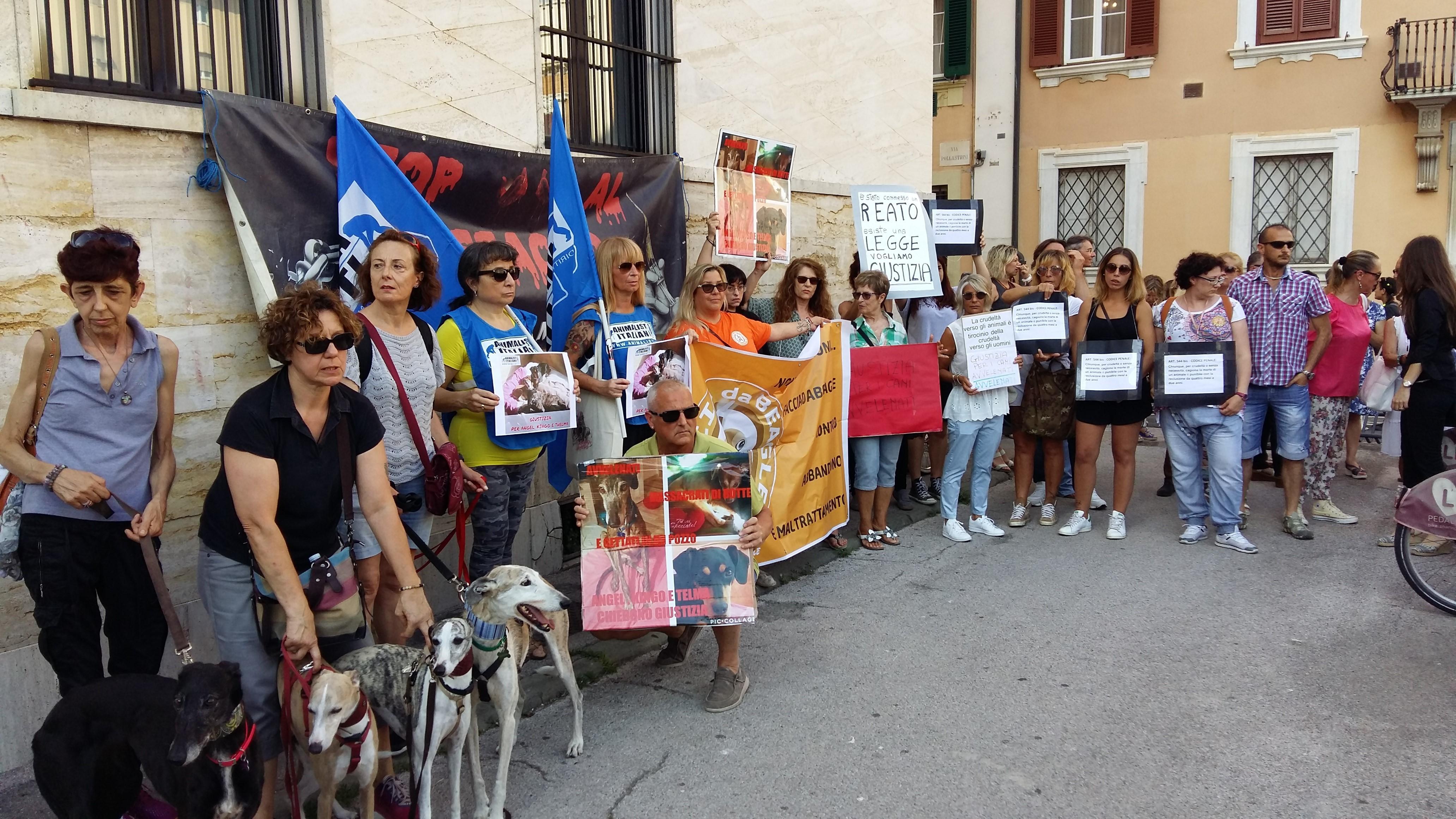 Un'immagine della manifestazione
