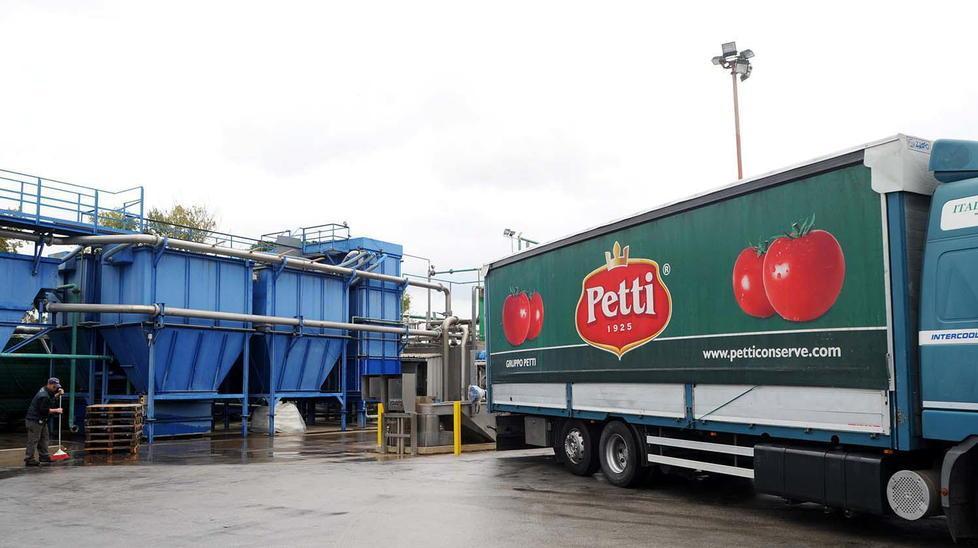 Raccolta dei pomodori Sarà una stagione con più assunzioni