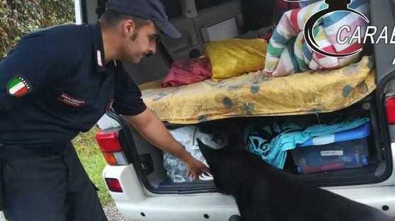 Trovato con la droga nascosta nelle mutande