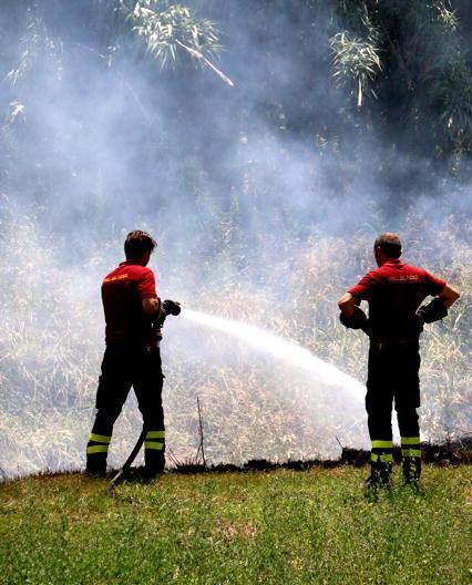 Da domani scatta il divieto di bruciare i residui agricoli 