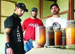 Gli Stranos Elementos