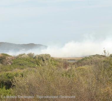 Lincendio scoppiato ieri nella zona delle Saline 