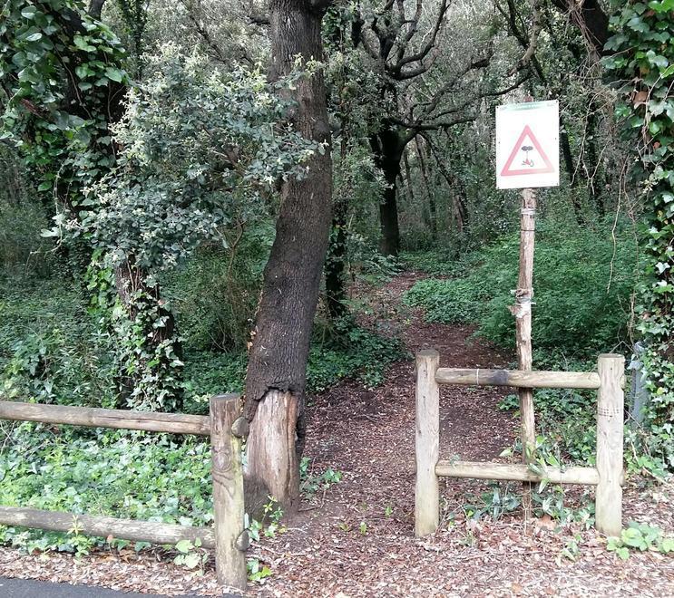 Parco di Rimigliano un piano di evacuazione per il pericolo incendi 