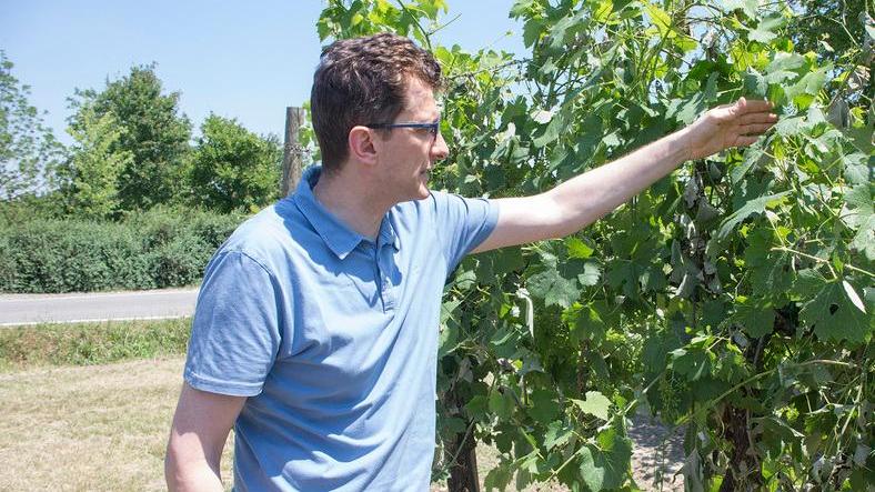 Grandine e pioggia annientano i raccolti «Più del 50% perso»