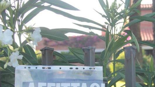 Prezzi alle stelle e camere horror: io, turista tedesca me ne vado altrove