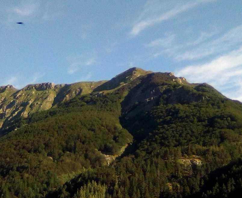 Uno strano oggetto nella foto 